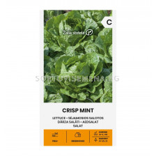 СЕМЕНА САЛАТА КЪДРАВА LETTUCE CRISP MINT - СК  