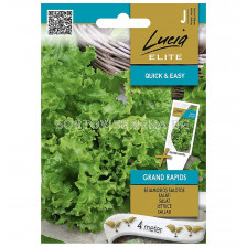 СК СЕМЕНА САЛАТА ГРАНД РАПИД 4М ЛЕНТА/ LETTUCE GRAND RAPIDS SK
