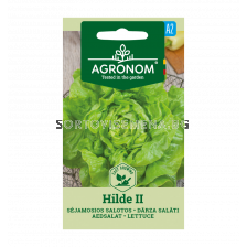 СК САЛАТА ХИЛДЕ II - LETTUCE, HILDE II
