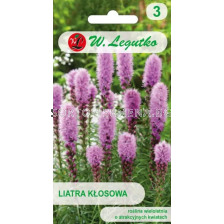 СЕМЕНА ЛИАТРИС РОЗОВ Liatris spicata pink-violet - ЛГ