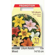 Лилиум азиатски микс/ Lilium asiatic mixed - 1 пакет- 10 броя