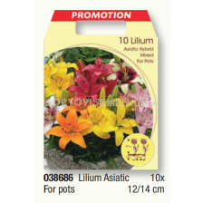 Лилиум азиатски за саксии микс/ Lilium asiatic for pots - 1 пакет - 10 броя