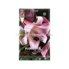 лилиум ориенталски Розов - lilium oriental Pink - 1 оп-2 бр