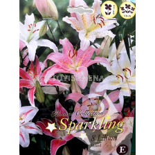 лилиуми Sparkling mix -  Liliums Sparkling mix