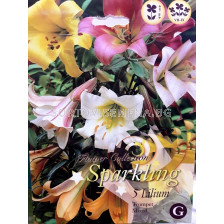 Лилиуми (Liliums) Sparkling Trumpet Mix