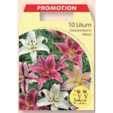 Лилиум ориентал микс / Lilium oriental mixed / 1 оп ( 10 бр )