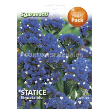 Семена Лимониум - син`SG - Limonium - blue`SG