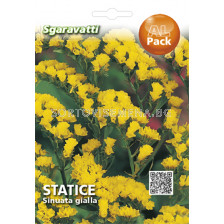Семена Лимониум - жълт`SG - Limonium - yellow`SG