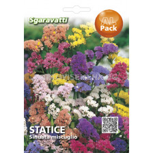 Семена Лимониум микс`SG - Limonium mix`SG 