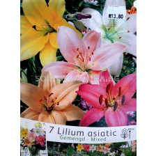Лилиум Asiatic Mix - Lilium Asiatic Mix