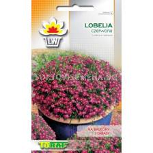 ТОРАФ СЕМЕНА ЛОБЕЛИЯ ЧЕРВЕНА Lobelia czerwona - TF-0,1г 