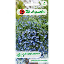 ЛГ ЛОБЕЛИЯ КАСКАДНА СИНЯ Lobelia erinus var. pendula blue  