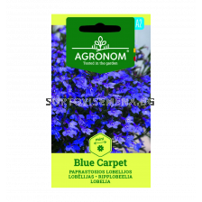 ЛОБЕЛИЯ LOBELIA, BLUE CARPET СК