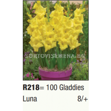 Гладиол нисък Luna/ Gladdies (shortstemmed) Luna - 1 бр.