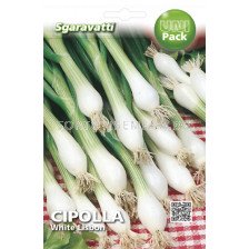 Семена лук за пера Бял Лисабонски`SG - onion white Lisbon`SG
