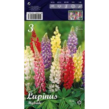 Лупина Микс - Lupinus Mix