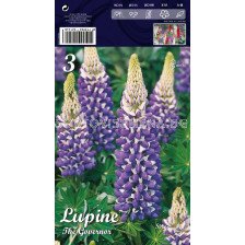 Лупина Синя (пакет) - Lupinus blue