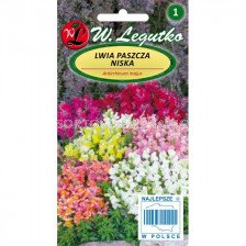 ЛГ КУЧЕНЦА ДЖУДЖЕ МИКС Antirrhinum majus nanum dwarf mixture  