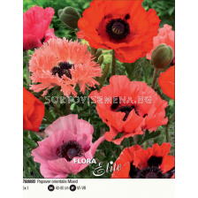 Ориенталски мак микс/ Papaver orientalis mixed - 5 броя