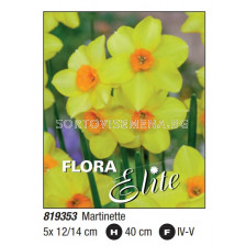 Нарцис/ multifl. Martinette - Пакет: 1 оп. - 5 бр. 