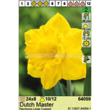 Нарцис/ Narcissus Dutch Master - Пакет: 1 оп.- 8 бр.