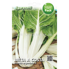 Семена Манголд (Mangold) Bionda a Costa Argentata 2`SG