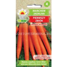 Моркови Първа реколта (много ранни) - Daucus carota - 5г