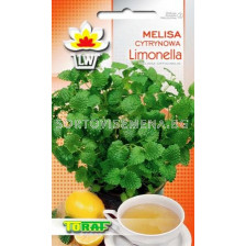 Семена Маточина Limonella 