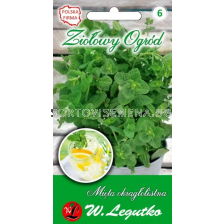 СЕМЕНА МЕНТА КРЪГЛО-ЛИСТНА  Mentha rotundifolia, Round-Leaved Mint -  ЛГ