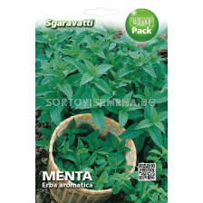 Семена Мента`SG