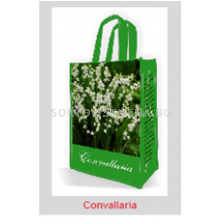 Момина сълза (Convallaria)