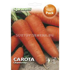 Семена моркови Chantenay`SG