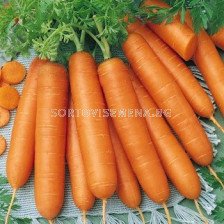моркови Карболи F1