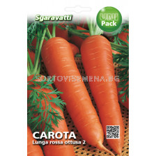 моркови Lunga Rossa Ottusa 2`SG