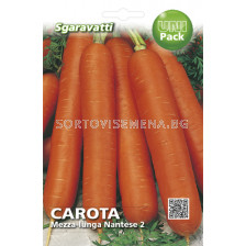 Семена моркови Mezza Lunga Nantese 2`SG