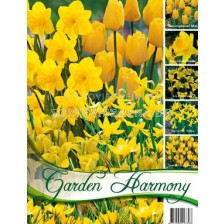 Колекция "Yellow Garden" 50 бр