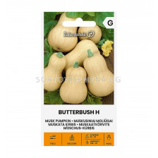 СК СЕМЕНА ТИКВА BUTTERBUSH H  