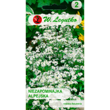 Семена Незабравка бяла /Myosotis alpestris white/ LG 1 оп