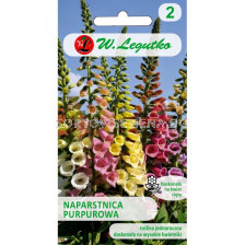 ЛГ ДИГИТАЛИС ФОКСИ МИКС  Digitalis purpurea dwarf Foxy mixture  