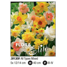 Нарциси All Types mixed - Пакет: 1 оп. - 5 бр.