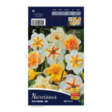 Нарцис Corona Mix -  Narcissus Corona Mix