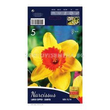 Нарцис (Narcissus) Large-Cuped Juanita 