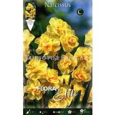 Нарцис (Narcissus) Cheerfulness - букет