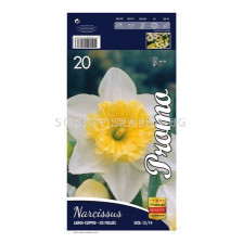 Нарцис (Narcissus) Large-Cupped Ice-Follies (20 бр.)