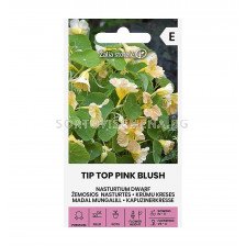 СЕМЕНА ЛАТИНКА НИСКА ТИП ТОП NASTURTIUM DWARF | TIP TOP PINK BLUSH СК 