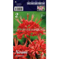 Нерине Червено 