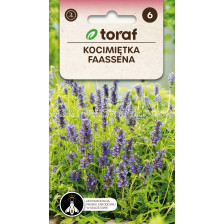 ТОРАФ СЕМЕНА ФАСЕНОВА МЕНТА-КОТЕШКА БИЛКА Kocimietka Faassena | Nepeta faassenii - 0,2 г
