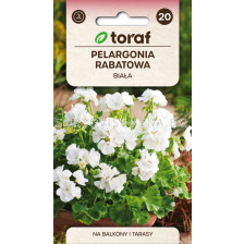 СЕМЕНА МУШКАТО БЯЛО Х Pelargonia rabatowa BIALA F2 - ТОРАФ - 0,05 г
