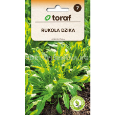 СЕМЕНА РУКОЛА ДИВА  - ТОРАФ - 1г