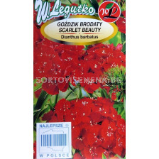 Карамфил кичест /Scarlet Beauty/ LG 1 оп 